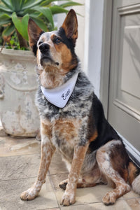 BFF Doggie Bandanas - Available in White/Black & Black/White